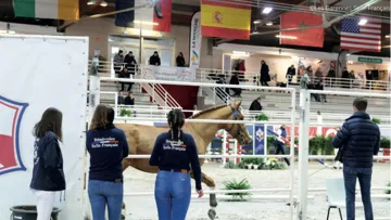 Le Stud-Book prend les devants!