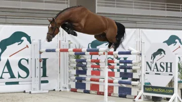 Les ventes Élites Nash commencent!