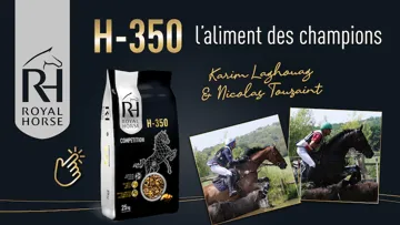 Royal Horse, à la pointe de la nutrition du cheval de sport