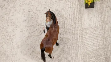 Votre cheval reçoit-il suffisamment de vitamines et de minéraux ?