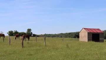 Abri pour chevaux, comment le choisir ?