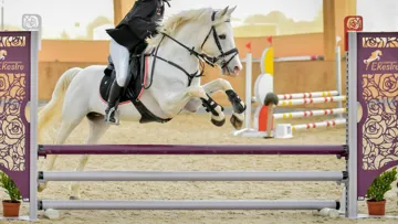 Comment choisir ses barres d’obstacle ? 