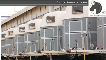 Des usages en mutation