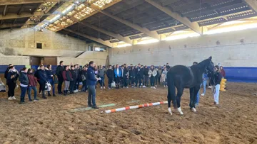 Les formations Young Breeders SF sont lancées !