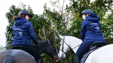 Pôle Formation de la Bergerie nationale des formations autour de partenariats nationaux et internationaux