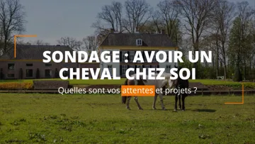 SONDAGE | Avoir un cheval chez soi, quelles sont vos attentes et projets ?