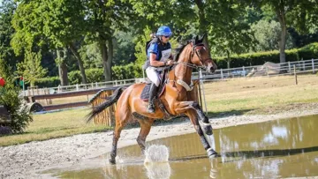 Sébastien Cavaillon et Elipso de la Vigne restent en tête du CCI 4*-L de Kronenberg. 