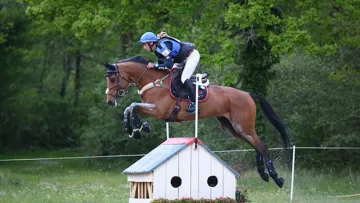 Sébastien Cavaillon et Elipso de la Vigne