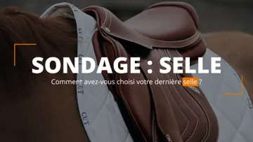 SONDAGE | Comment avez-vous choisi votre dernière selle ?