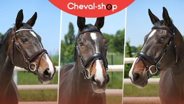 French Days Cheval-Shop : c’est parti jusqu’à lundi! 