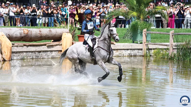 Rhinopneumonie: un vaccin plus simple d’emploi pour mieux lutter contre la maladie 
