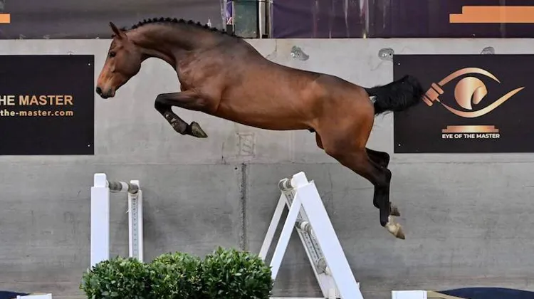 Dernières heures pour la vente aux enchères “Eye of the Master”