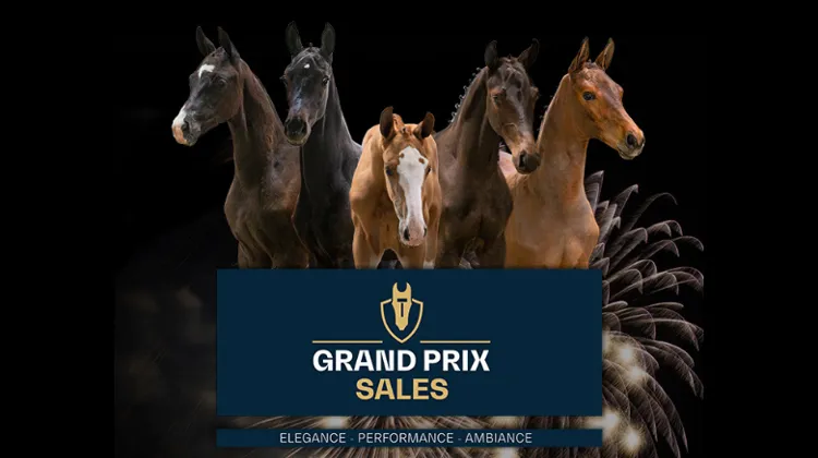Reprise des ventes aux enchères Grand Prix Sales, poulains et embryons, du 27 au 28 juin