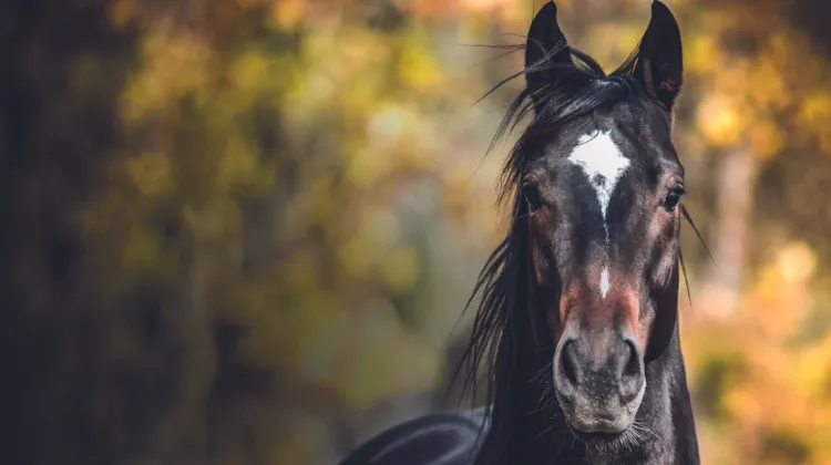 Science Sunday, tout ce qu’il faut savoir sur les ulcères gastriques 