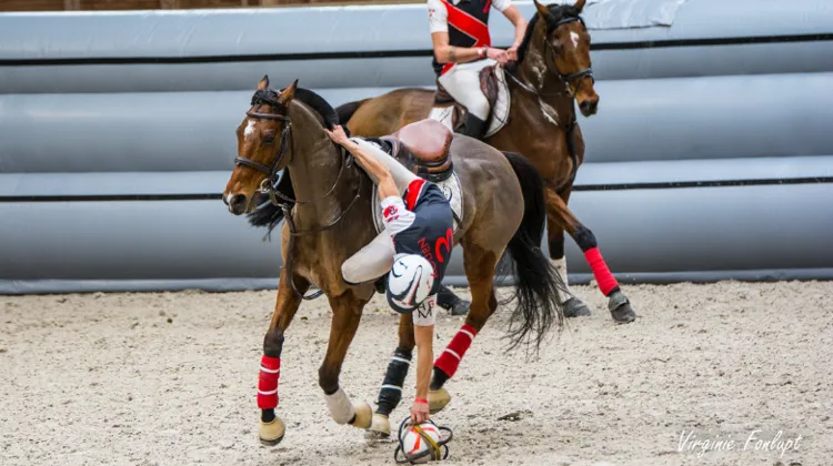 Agenda d'octobre 2022 pôle international du cheval Longines - Deauville 