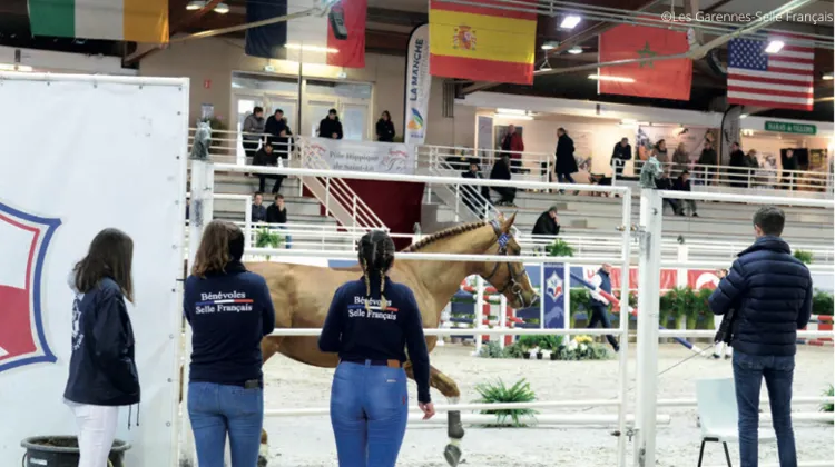 Le Stud-Book prend les devants!