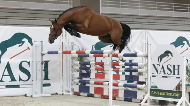 Les ventes Élites Nash commencent!