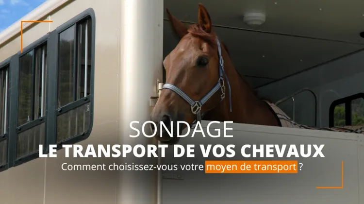 Répondez à notre sondage ! 