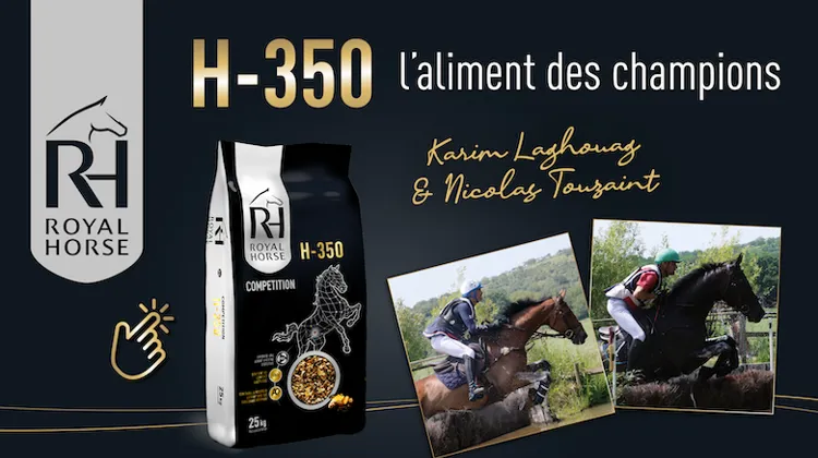 Royal Horse, à la pointe de la nutrition du cheval de sport