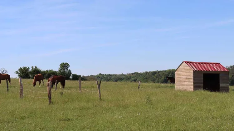Abri pour chevaux, comment le choisir ?