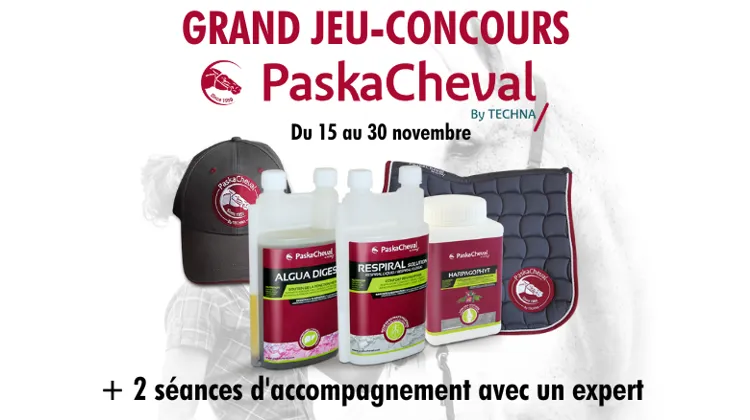 Grand jeu-concours PASKACHEVAL! 