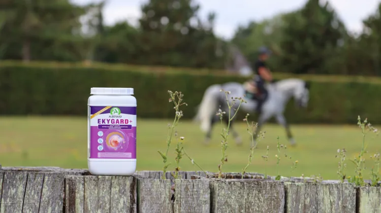 La triple protection gastrique avec Ekygard + 