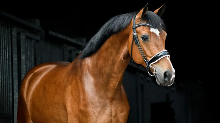 La peau en tant que miroir de la santé