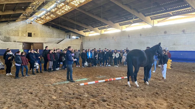 Les formations Young Breeders SF sont lancées !