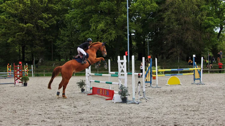La formation CS Jeunes Chevaux désormais en Bretagne grâce au centre de Kernilien-Guingamp
