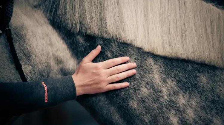 La marque GEM Équitation lance son offre de seconde main 