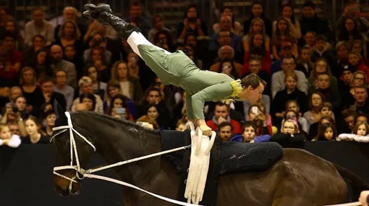 Vincent Haennel va combiner cette saison sa carrière individuelle et son rôle de remplaçant dans l'équipe des Cigognes.