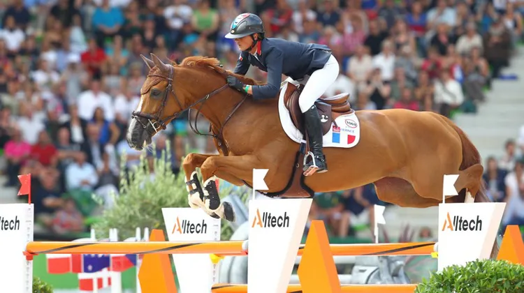 Notamment aux Jeux équestres mondiaux de Normandie en 2014, Pénélope Leprevost et le haras de Clarbec auront marqué les sports équestres français.