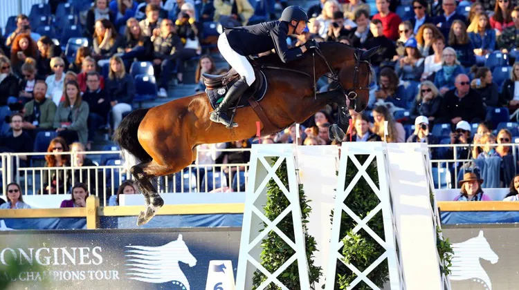 En quelques mois, Henrik von Eckermann et Chaccano avaient déjà remporté de très belles épreuves à haut niveau.