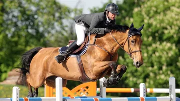 Pepyt' des Elfs aura vécu une carrière entière et fructueuse avec Grégory Cottard.