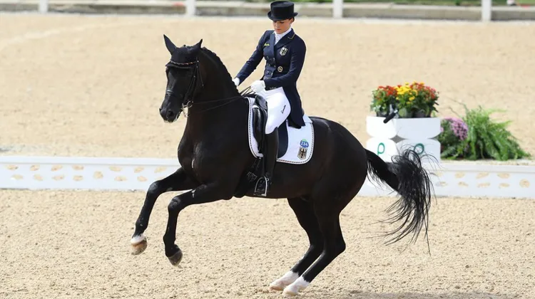 Le couple champion olympique par équipes de Rio, Kristina Sprehre et Desperados FRH, seront de la partie.