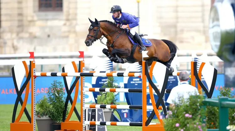 Marcus Ehning et Comme Il Faut ont remporté l'épreuve en individuel.