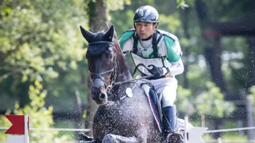 Pour accomplir son rêve, Negi misait en premier lieu sur Ventura de la Chaule JRA, ici en 2019 à Saumur.