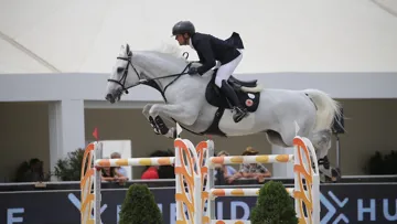 Pour aller défendre les couleurs de la France aux Jeux olympiques de Tokyo, Simon Delestre a été sélectionné avec Berlux Z, un hongre de dix ans qui évolue sous sa selle depuis 2018. 