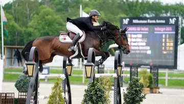 Duarte Romao et son sublime bai