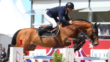 À Bourg-en-Bresse, Atome des Étisses s’est classé deux fois deuxième du Grand Prix CSI 4*. 