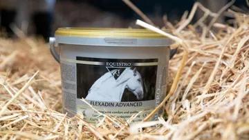 © Jessica Rodrigues