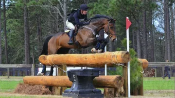 Photographié ici en compétition au Carolina International en 2018, David Vos a apporté une contribution significative aux travaux du groupe de travail de la FEI consacré à la gestion des risques en concours complet.