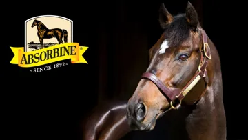 “Comme vous, nous avons la passion du cheval. Et cela, depuis 1892.”