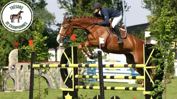 Jumpy de Kreisker, ici en 2008 à Béthune avec Charlène Homond, se montrait d’une générosité sans faille en piste, qualité qu’elle a transmise à nombre de descendants.