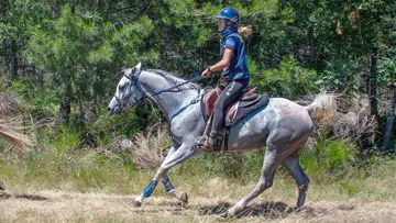 En juillet dernier, Julia Montagne avait gagné la CEI 2* de 120km de Barre-des-Cévennes avec Michto du Lauragais.