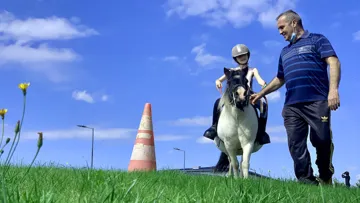 Ce seul échange de regards entre un père et sa fille résume à lui seul les vertus du poney parloir.
