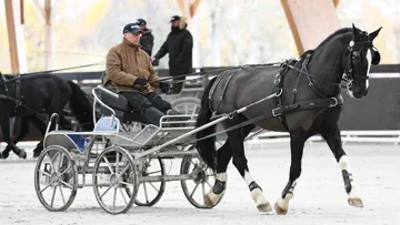 Anthony Hordé et les meneurs de l'équipe de France ont profité du grand manège durant leur premier stage de l'hiver.