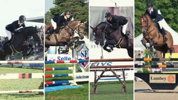 De gauche à droite : Ilex VP, Bibici, Quel Homme de Hus et Uitlanders du Ter. 