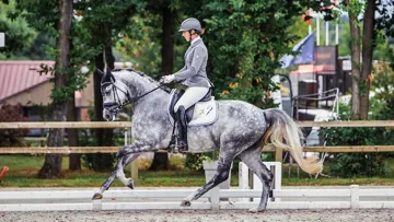 Barcelona de Malleret, six ans, illustre le nouveau partenariat avec le haras de Malleret.