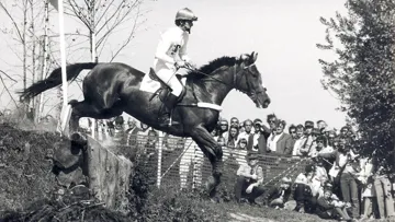 Il n'existe malheureusement pas de photo de Michel Robert avec Ut Majeur, voici donc le Français aux Jeux olympiques de concours complet de Munich, en 1972, en selle sur Vandale B. 